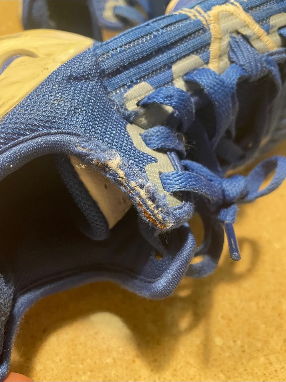 Nike Lebron Witness Kids Blue and White Athletic Sneakers